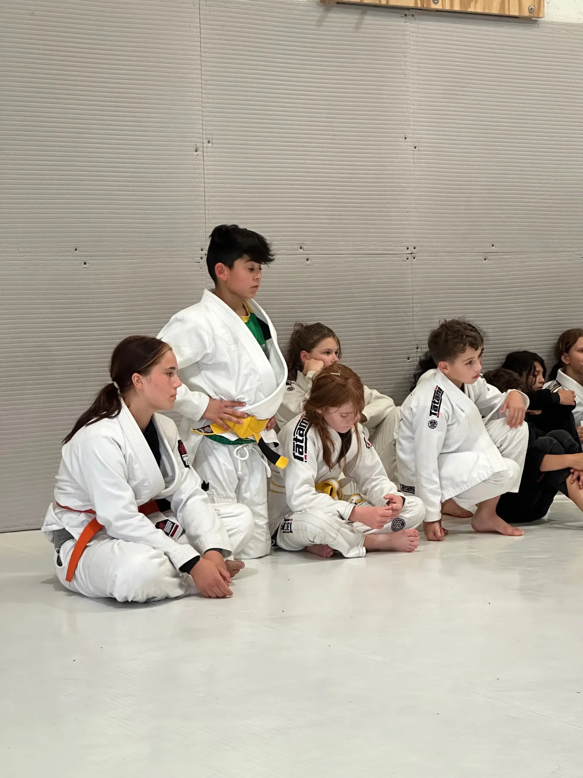 Kids training BJJ, gymnastics, and capoeira at Studio Galera Champions Camp in Bandon, West Cork 5