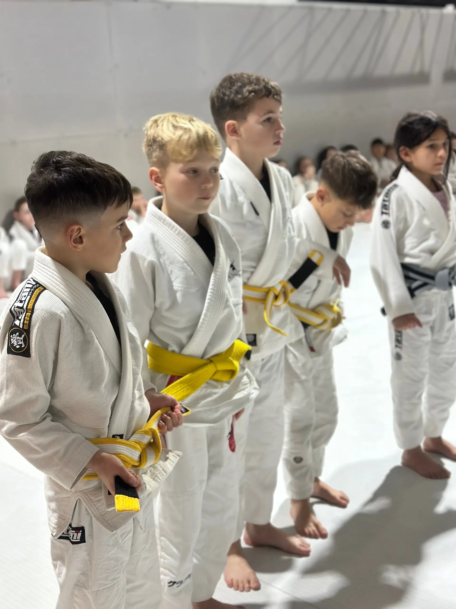 Students and instructors celebrating belt promotions at Studio Galera BJJ graduation in Bandon, West Cork 5